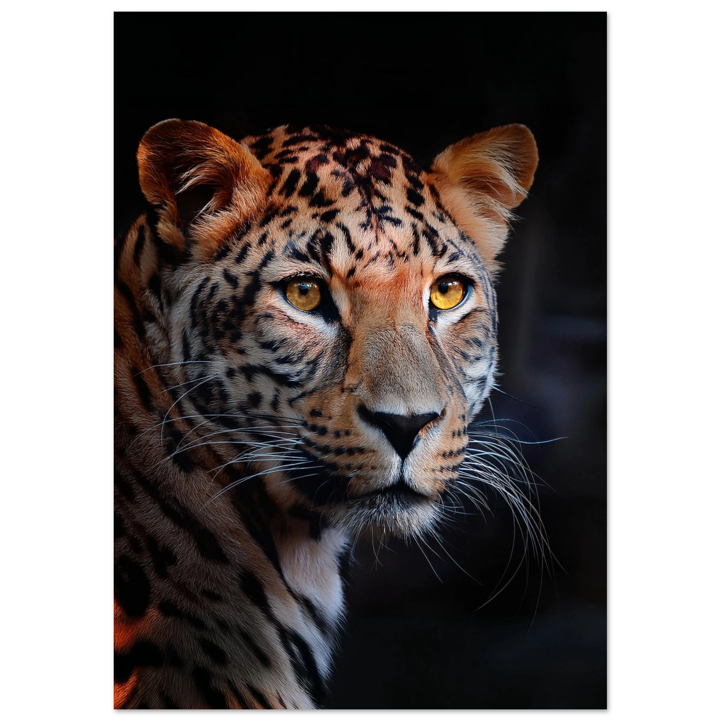 Leopard - Poster - Arthena