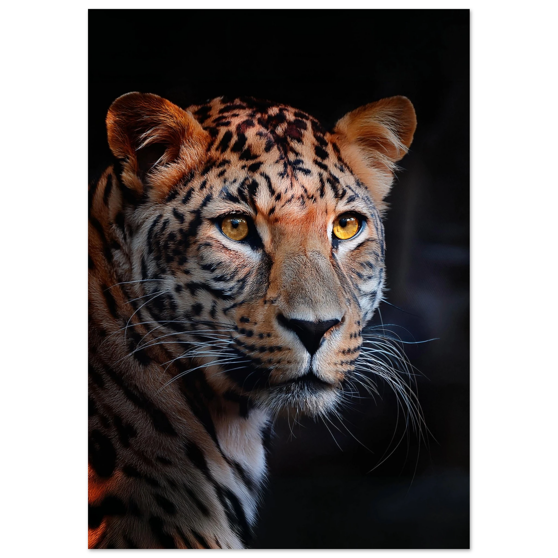 Leopard - Poster - Arthena