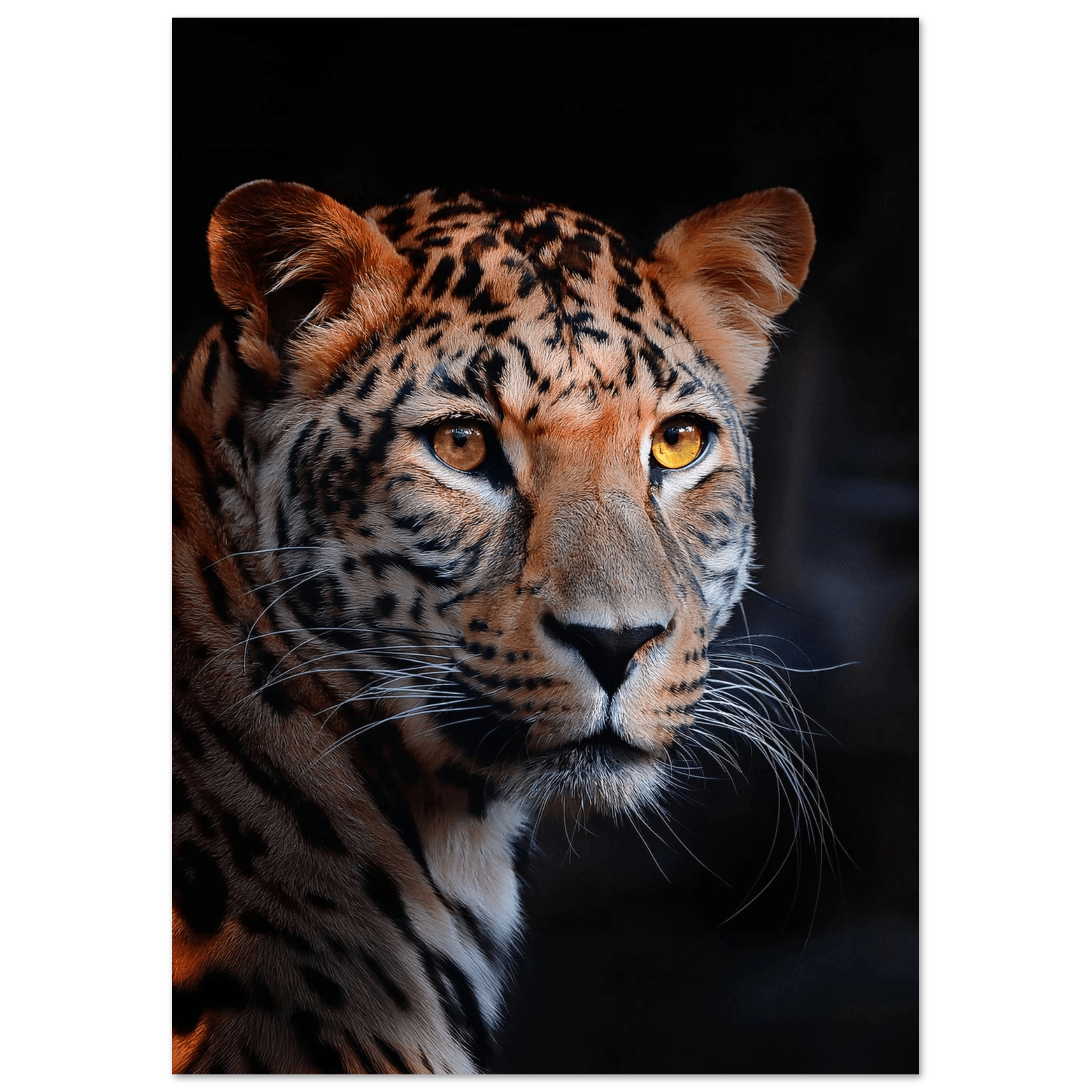 Leopard - Poster - Arthena
