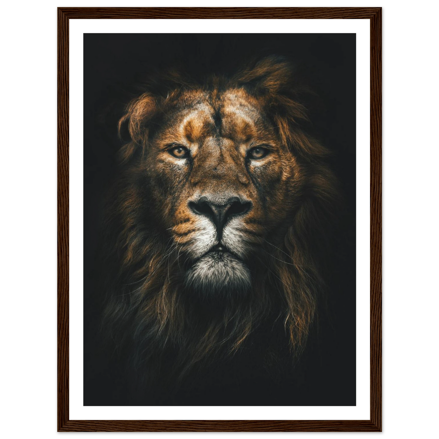 Lion King - Poster - Arthena