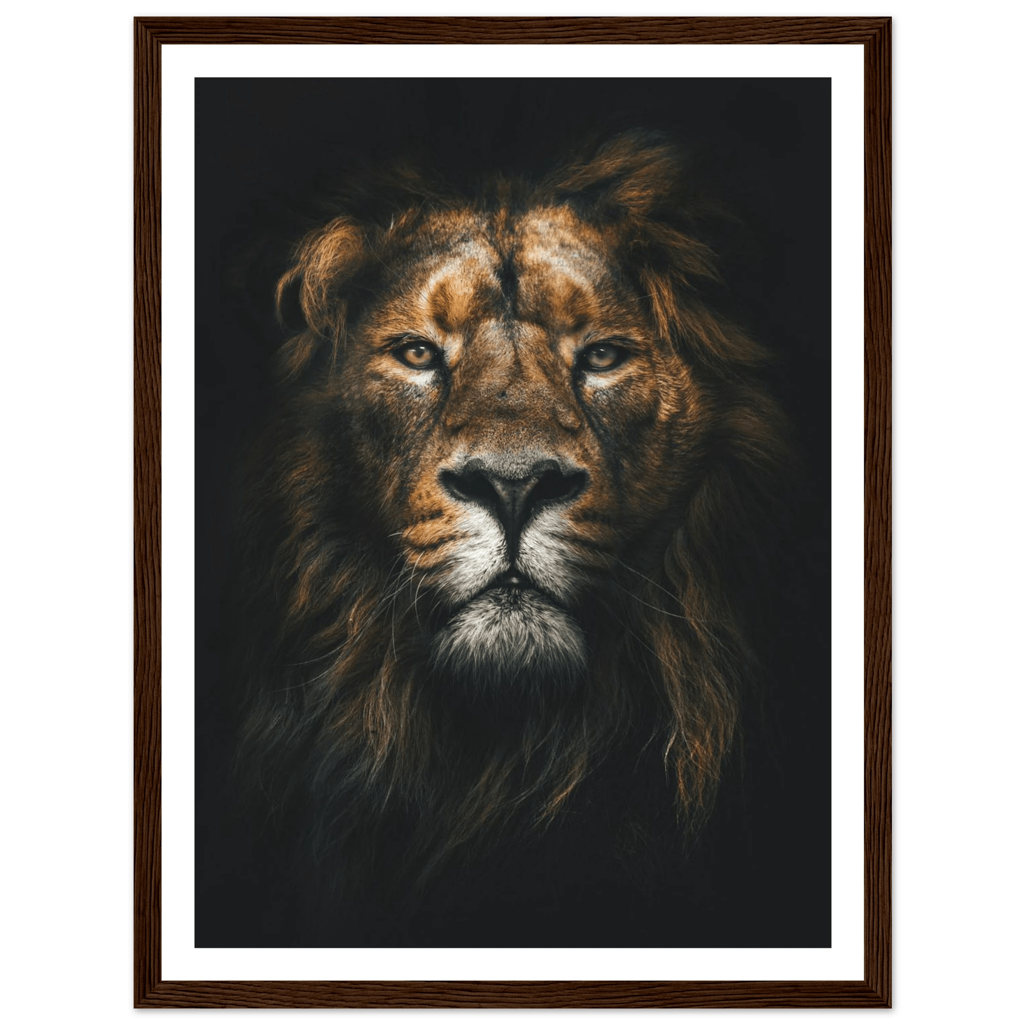 Lion King - Poster - Arthena