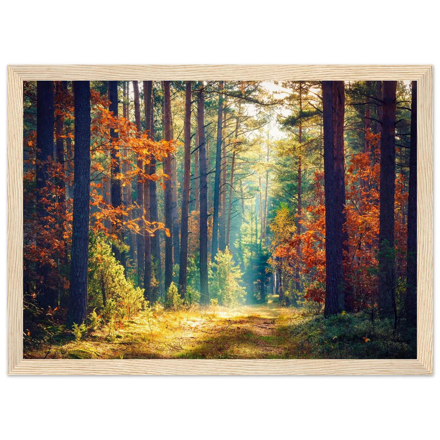 Path of Autumn Glow - Poster - Arthena