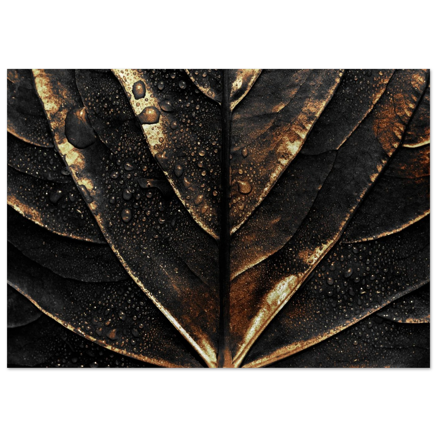 Gold Veins - Poster - Arthena