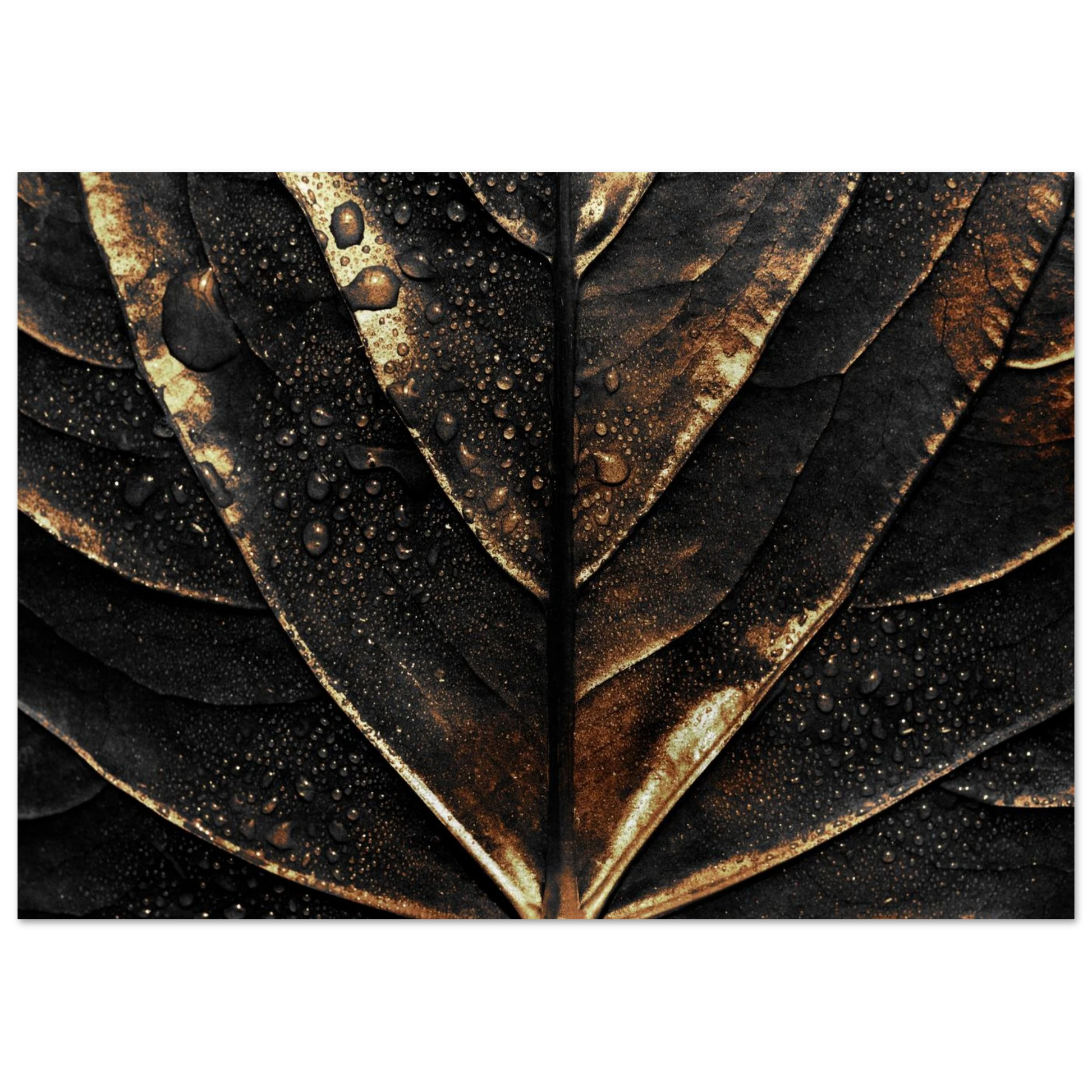 Gold Veins - Poster - Arthena