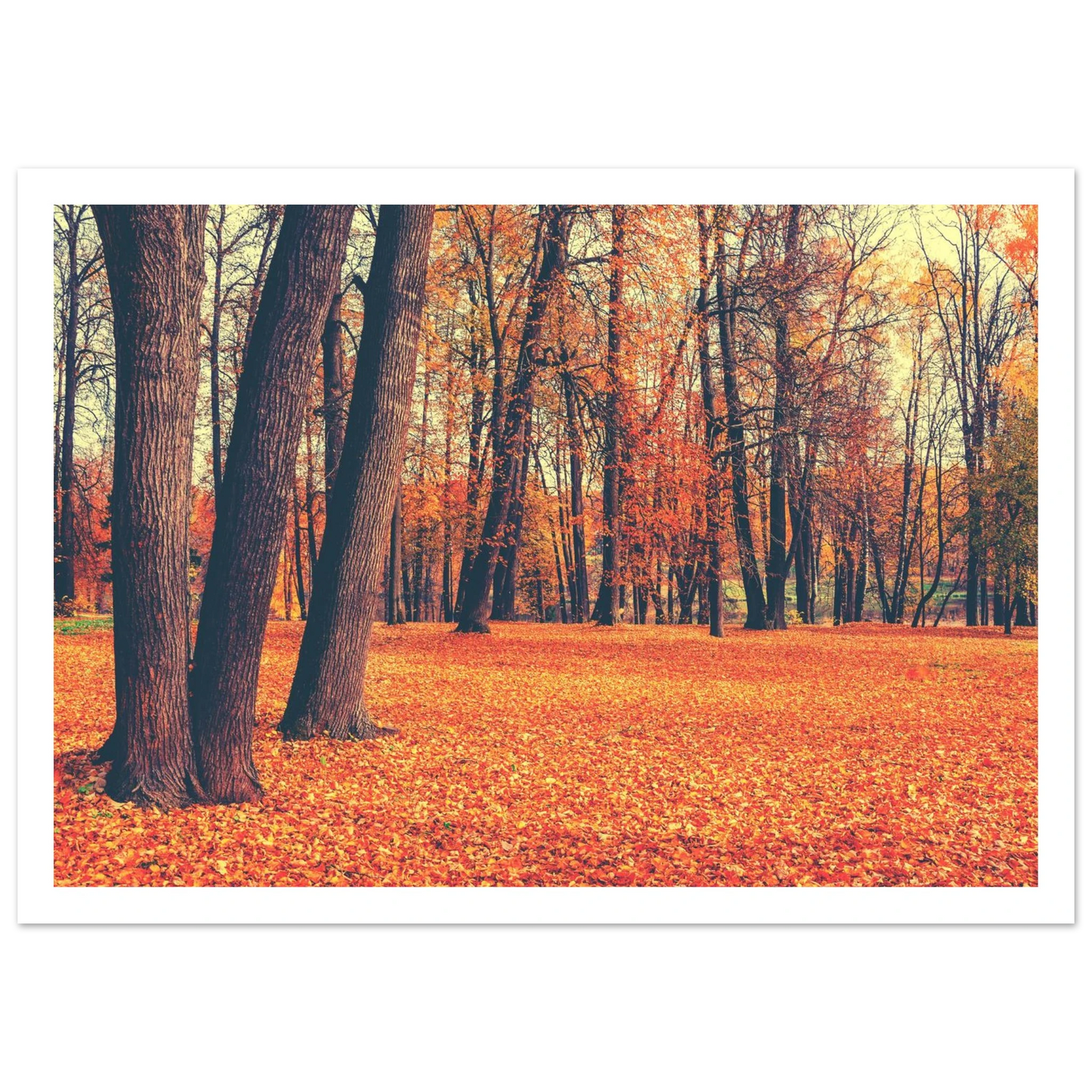 Autumn Carpet - Poster - Arthena