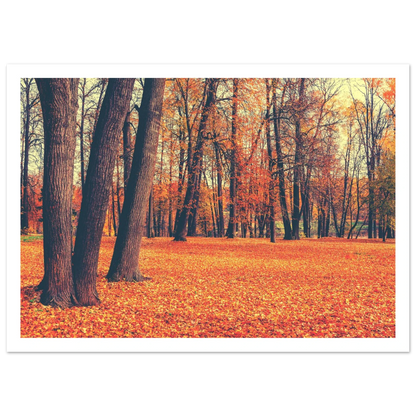 Autumn Carpet - Poster - Arthena