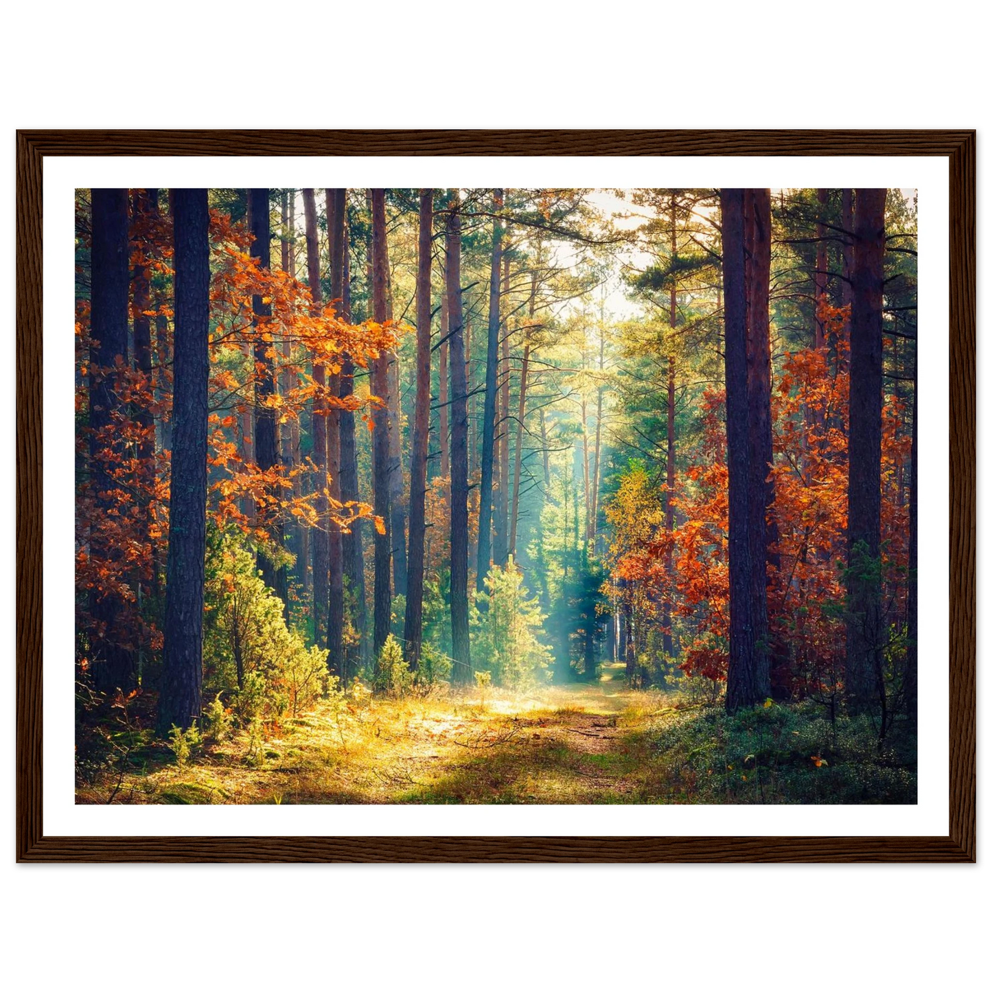 Path of Autumn Glow - Poster - Arthena