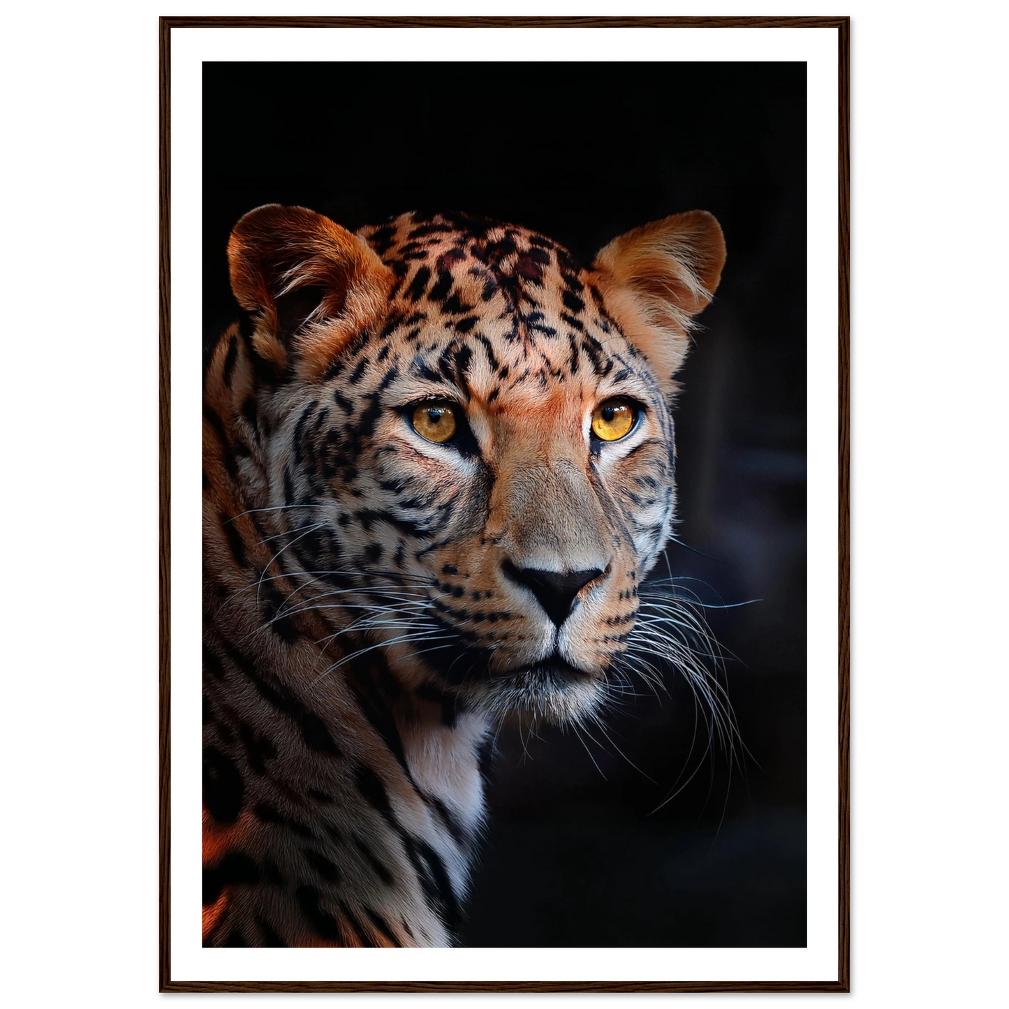 Leopard - Poster - Arthena