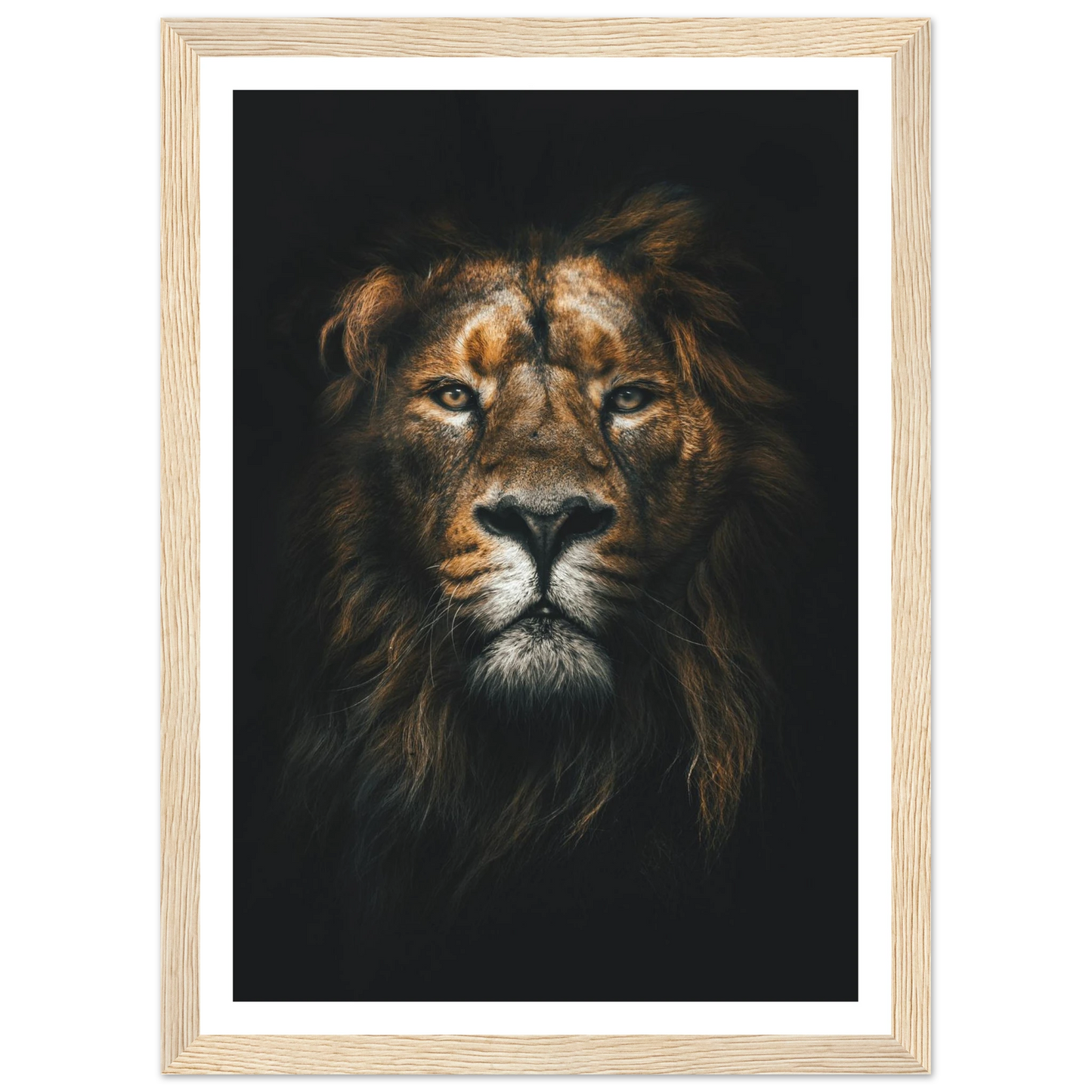 Lion King - Poster - Arthena