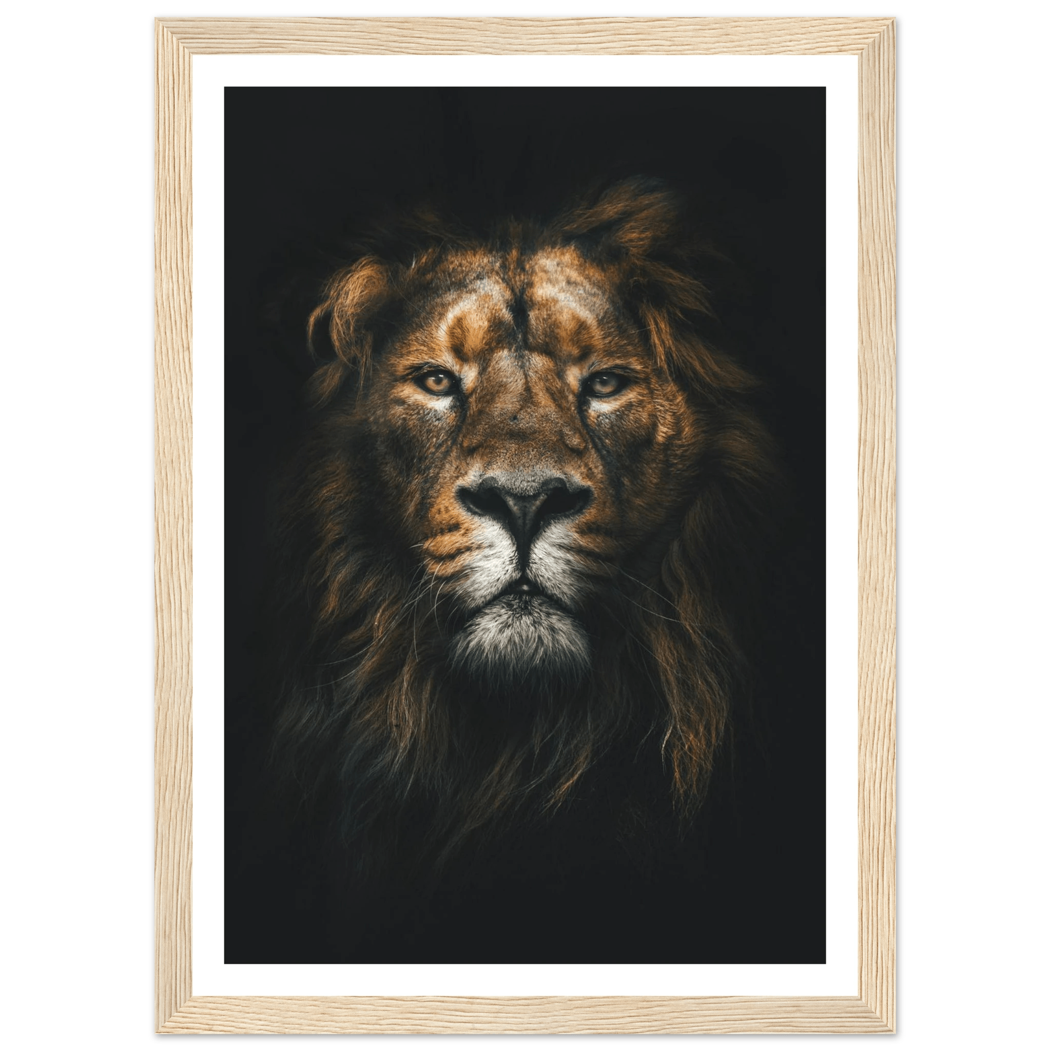 Lion King - Poster - Arthena
