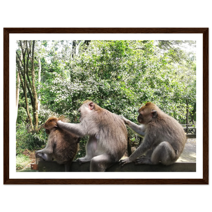Monkey Scratchers - Poster - Arthena