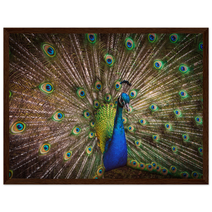 Crown of feathers - Poster - Arthena