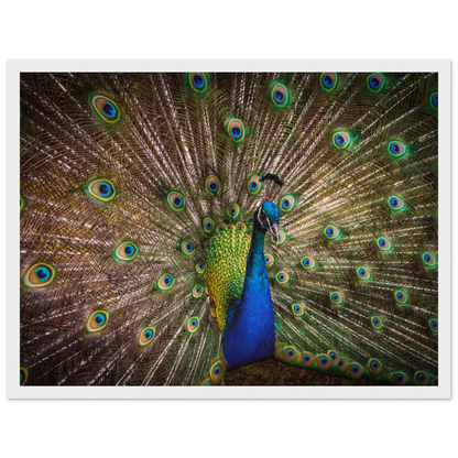 Crown of feathers - Poster - Arthena