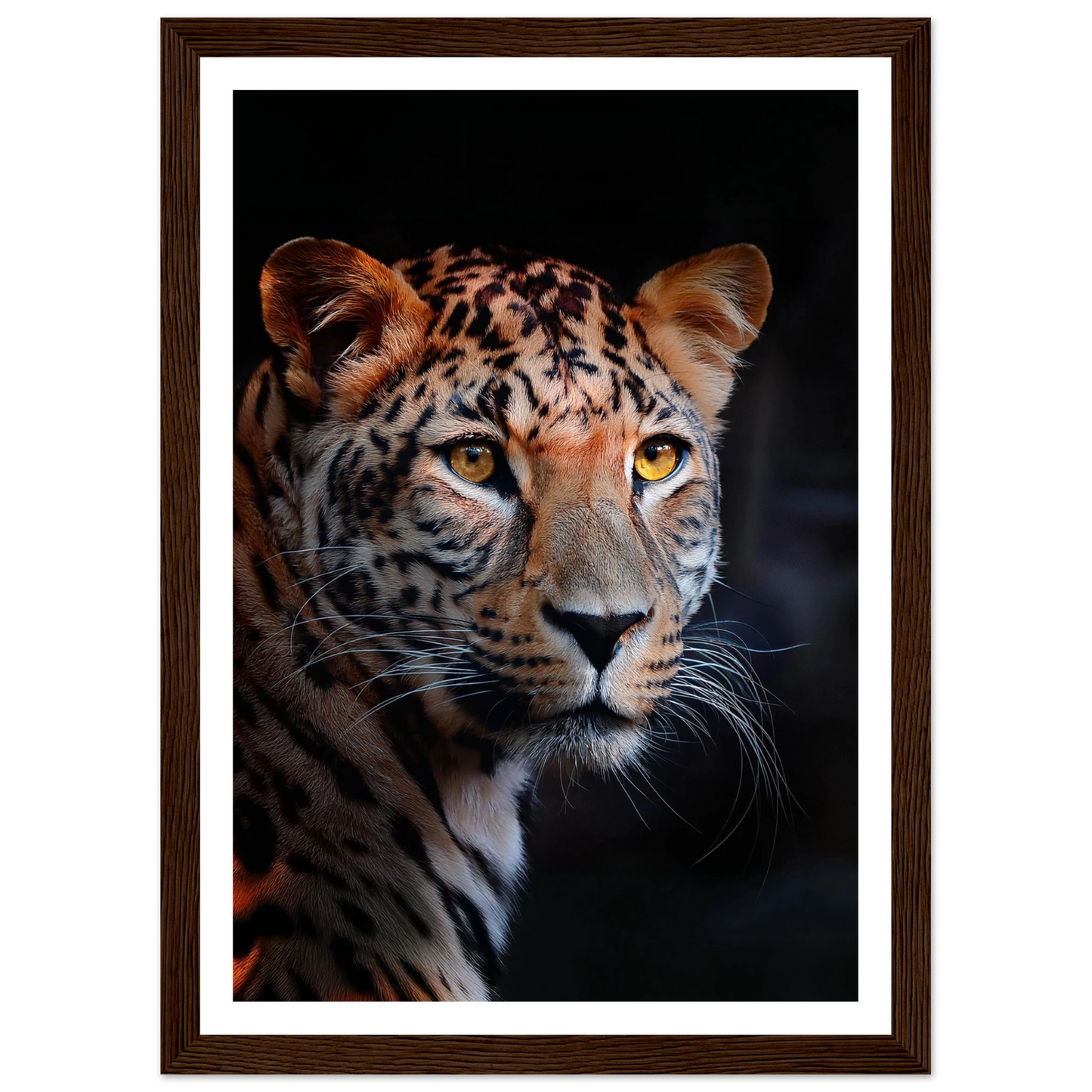 Leopard - Poster - Arthena