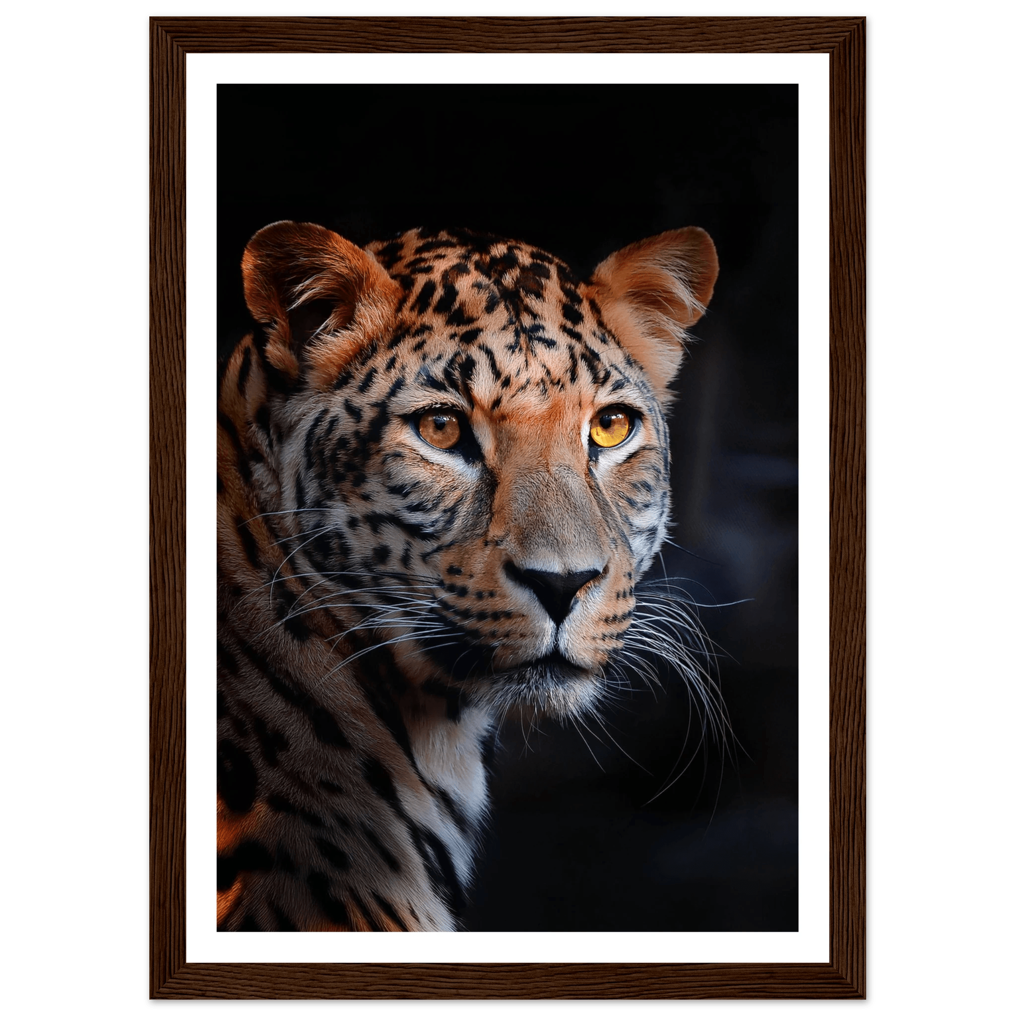 Leopard - Poster - Arthena