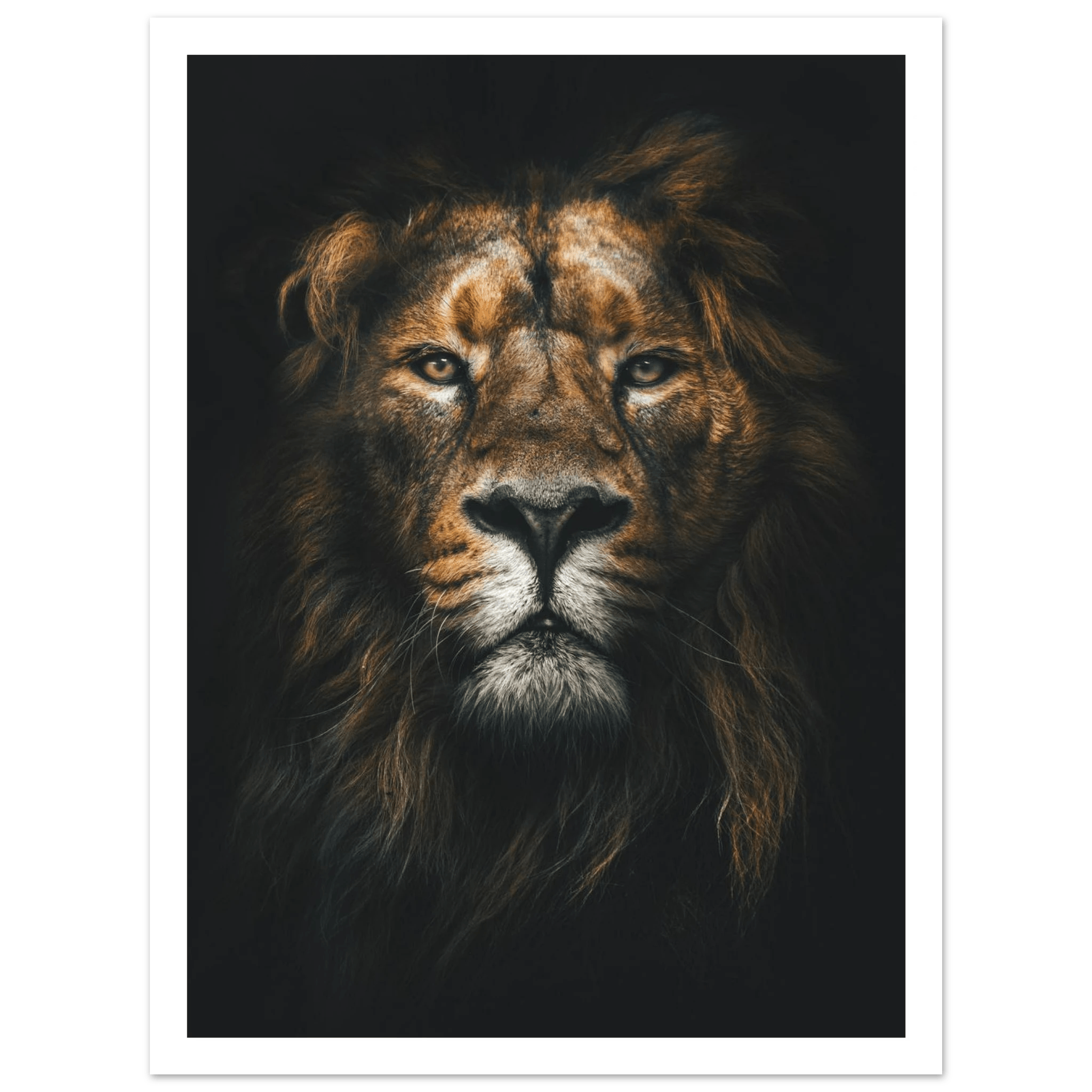 Lion King - Poster - Arthena