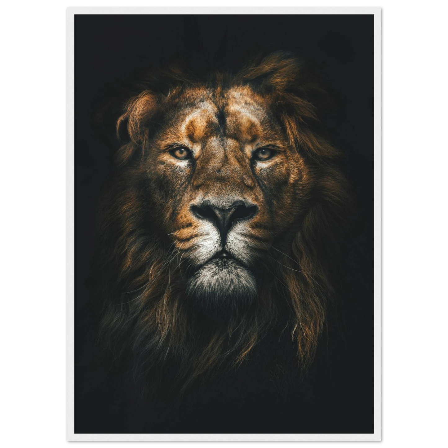 Lion King - Poster - Arthena