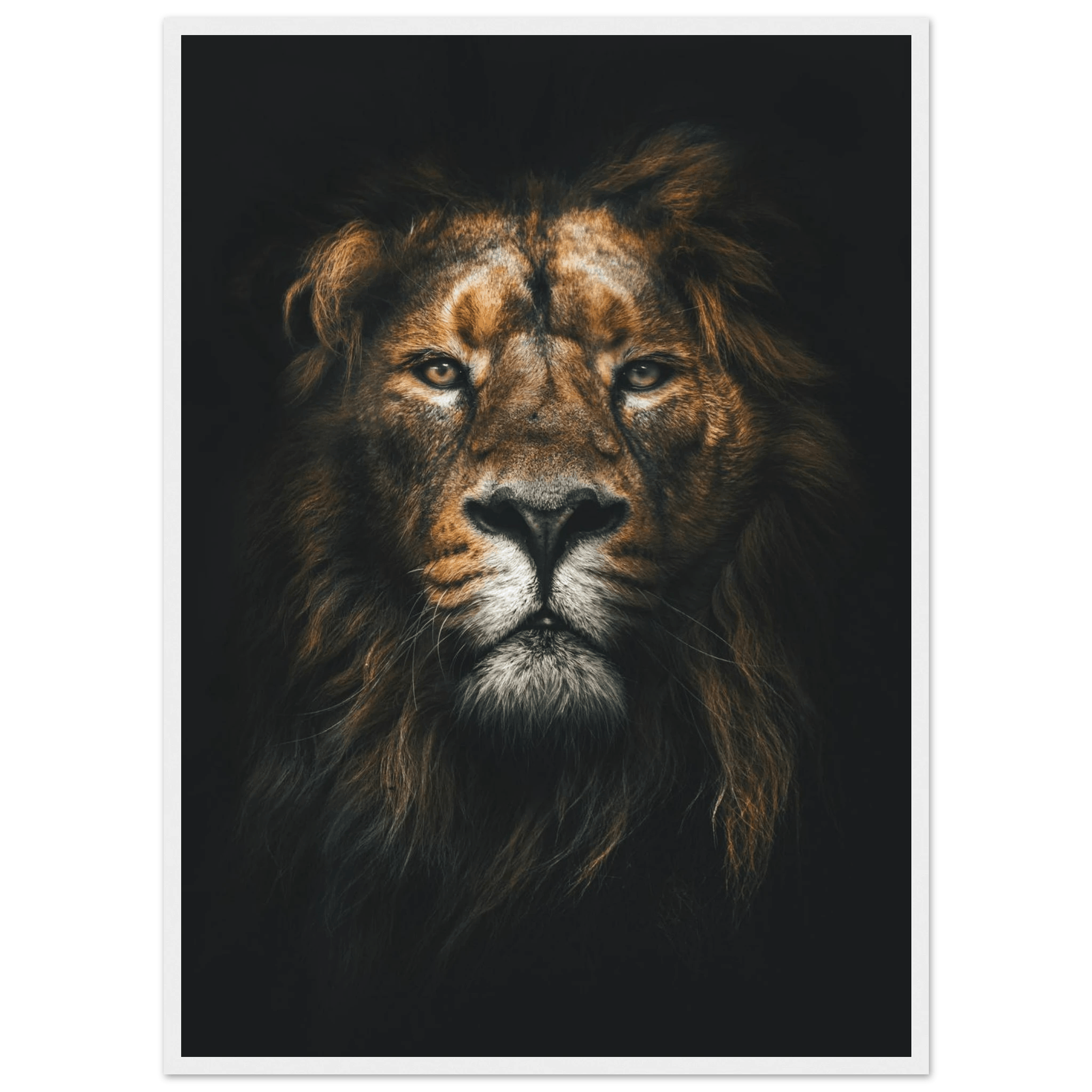 Lion King - Poster - Arthena