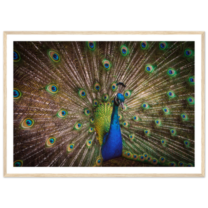 Crown of feathers - Poster - Arthena