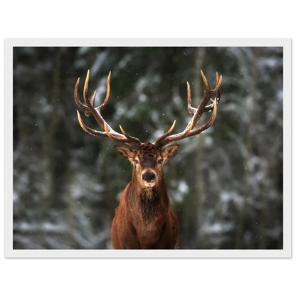 Stag in snow - Poster - Arthena