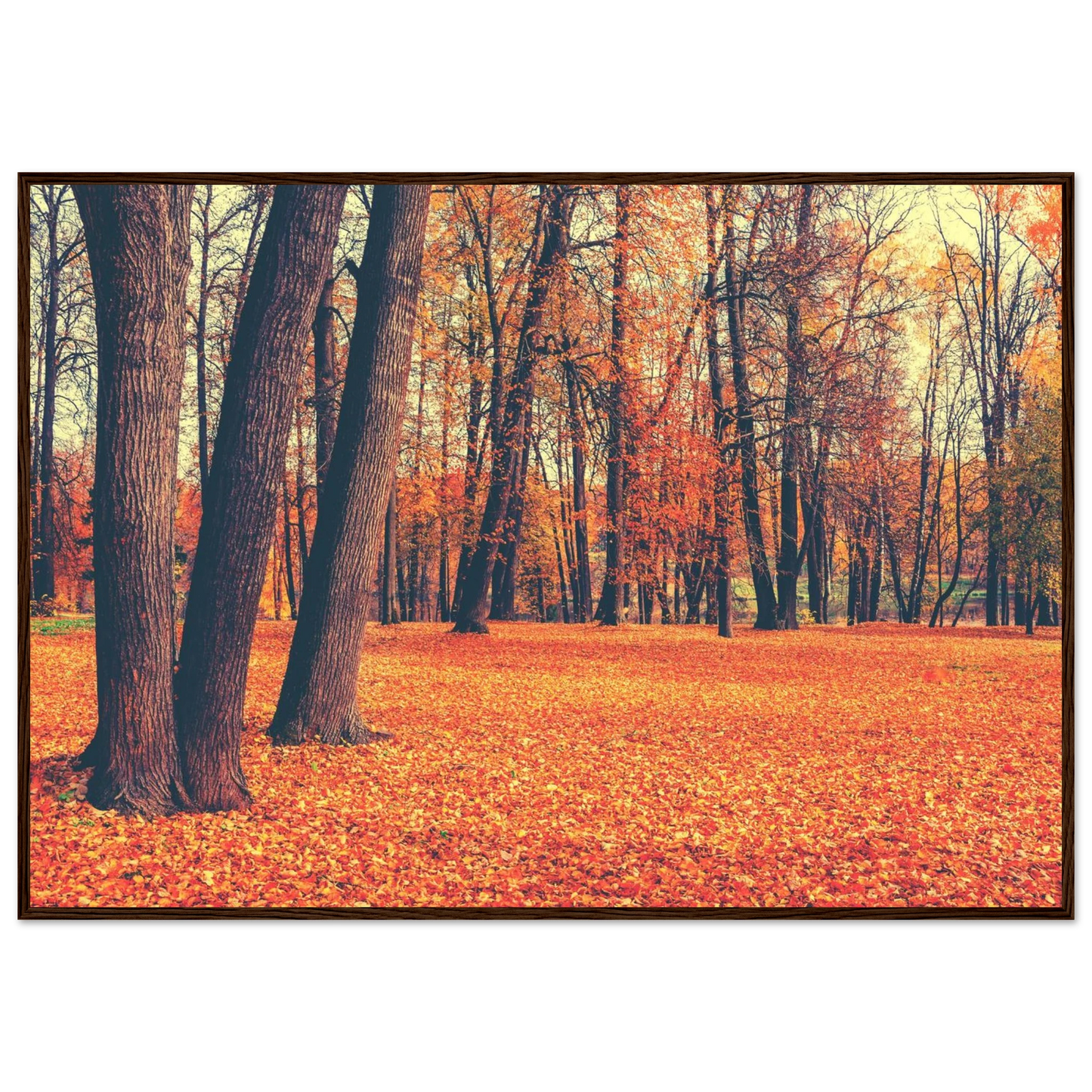 Autumn Carpet - Poster - Arthena