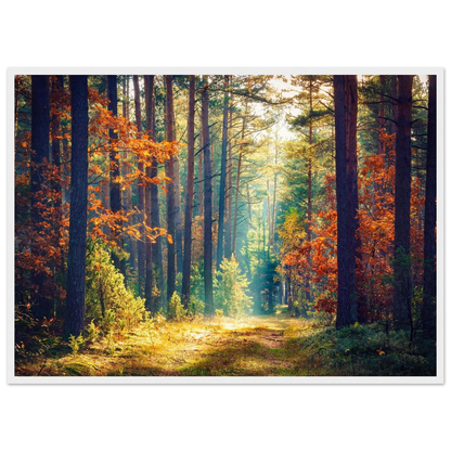 Path of Autumn Glow - Poster - Arthena