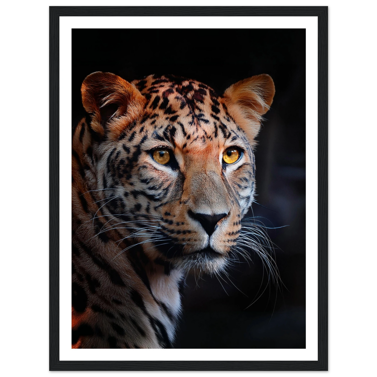 Leopard - Poster - Arthena