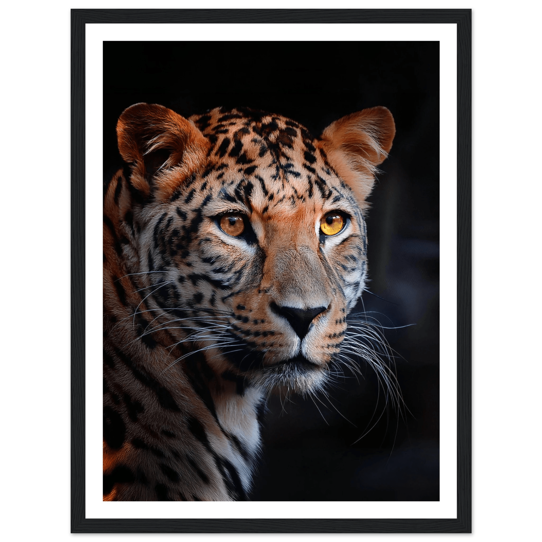 Leopard - Poster - Arthena