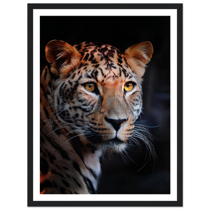 Leopard - Poster - Arthena