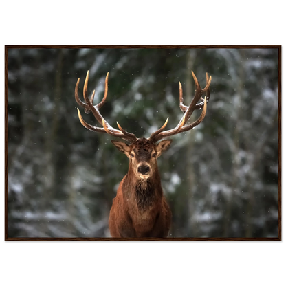 Stag in snow - Poster - Arthena