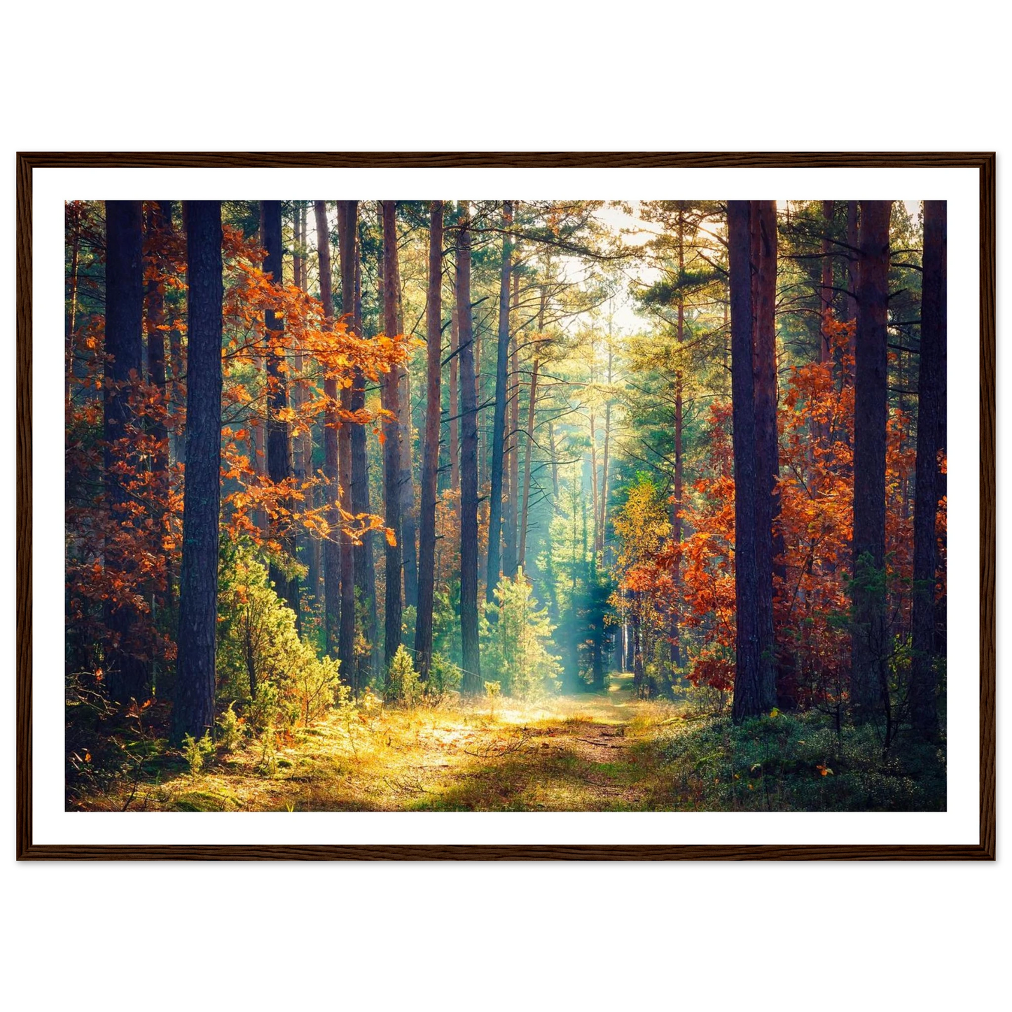 Path of Autumn Glow - Poster - Arthena