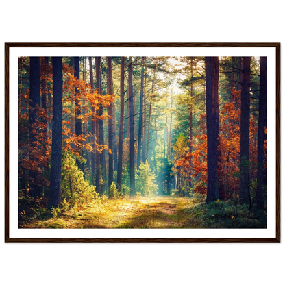 Path of Autumn Glow - Poster - Arthena