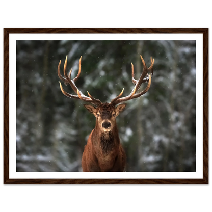 Stag in snow - Poster - Arthena