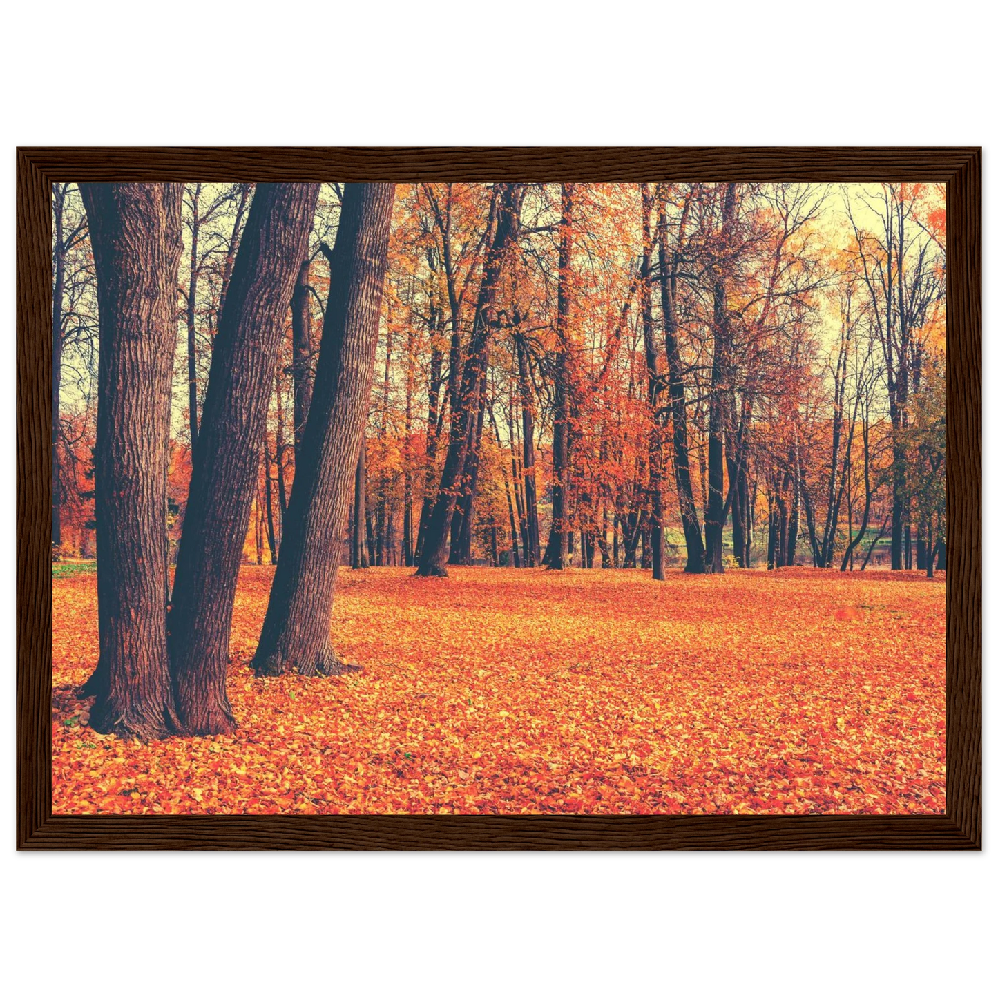 Autumn Carpet - Poster - Arthena