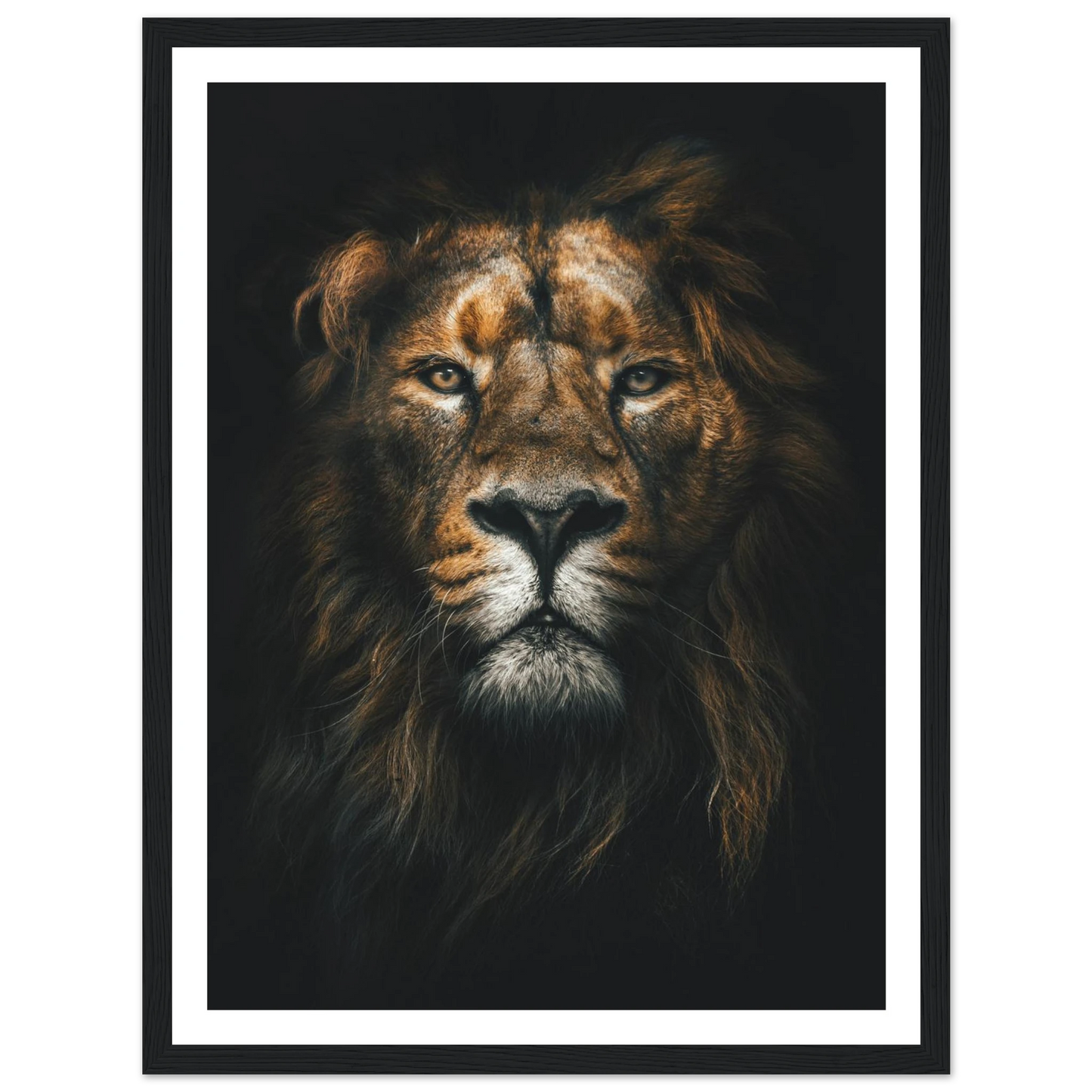 Lion King - Poster - Arthena