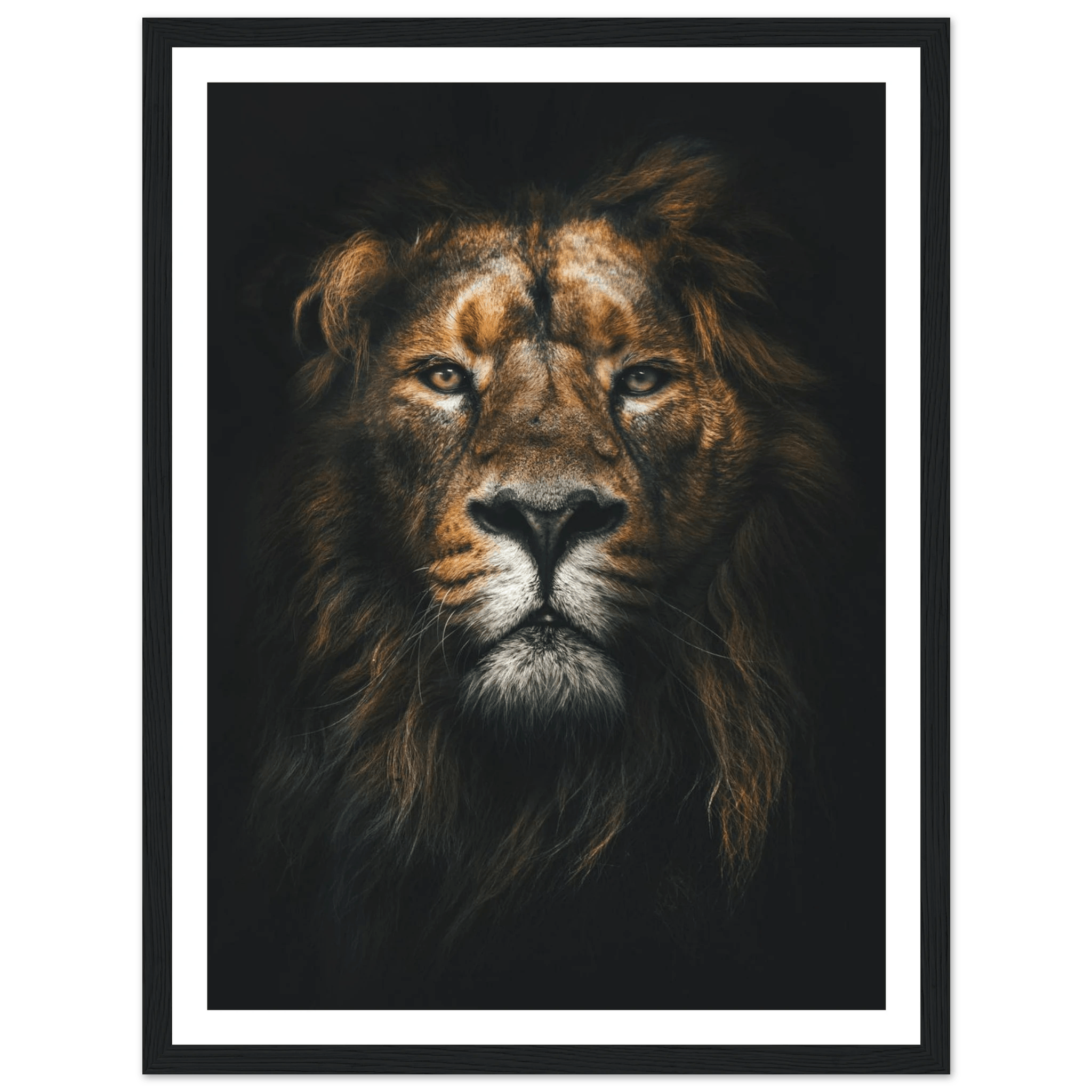 Lion King - Poster - Arthena