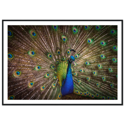 Crown of feathers - Poster - Arthena