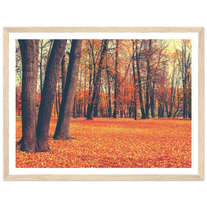 Autumn Carpet - Poster - Arthena