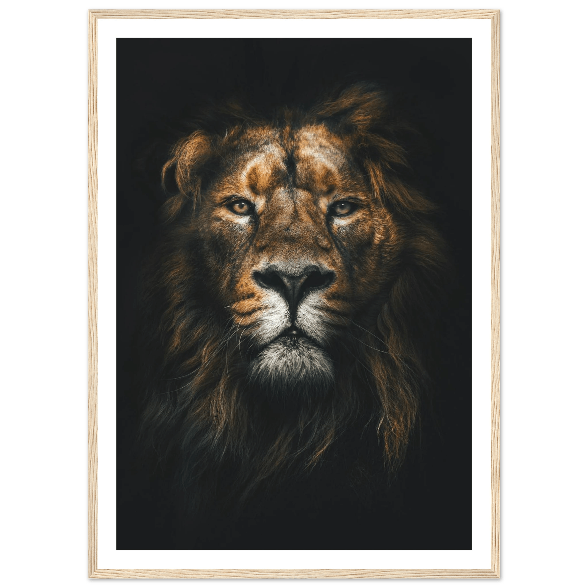 Lion King - Poster - Arthena
