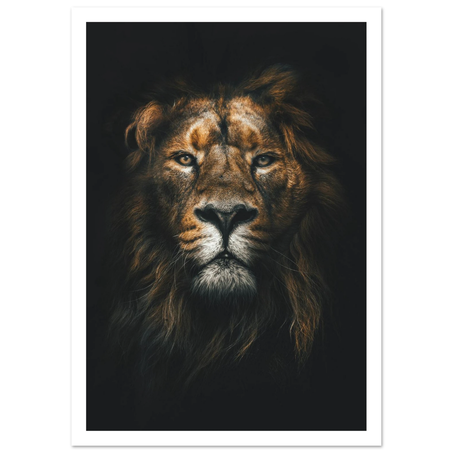 Lion King - Poster - Arthena
