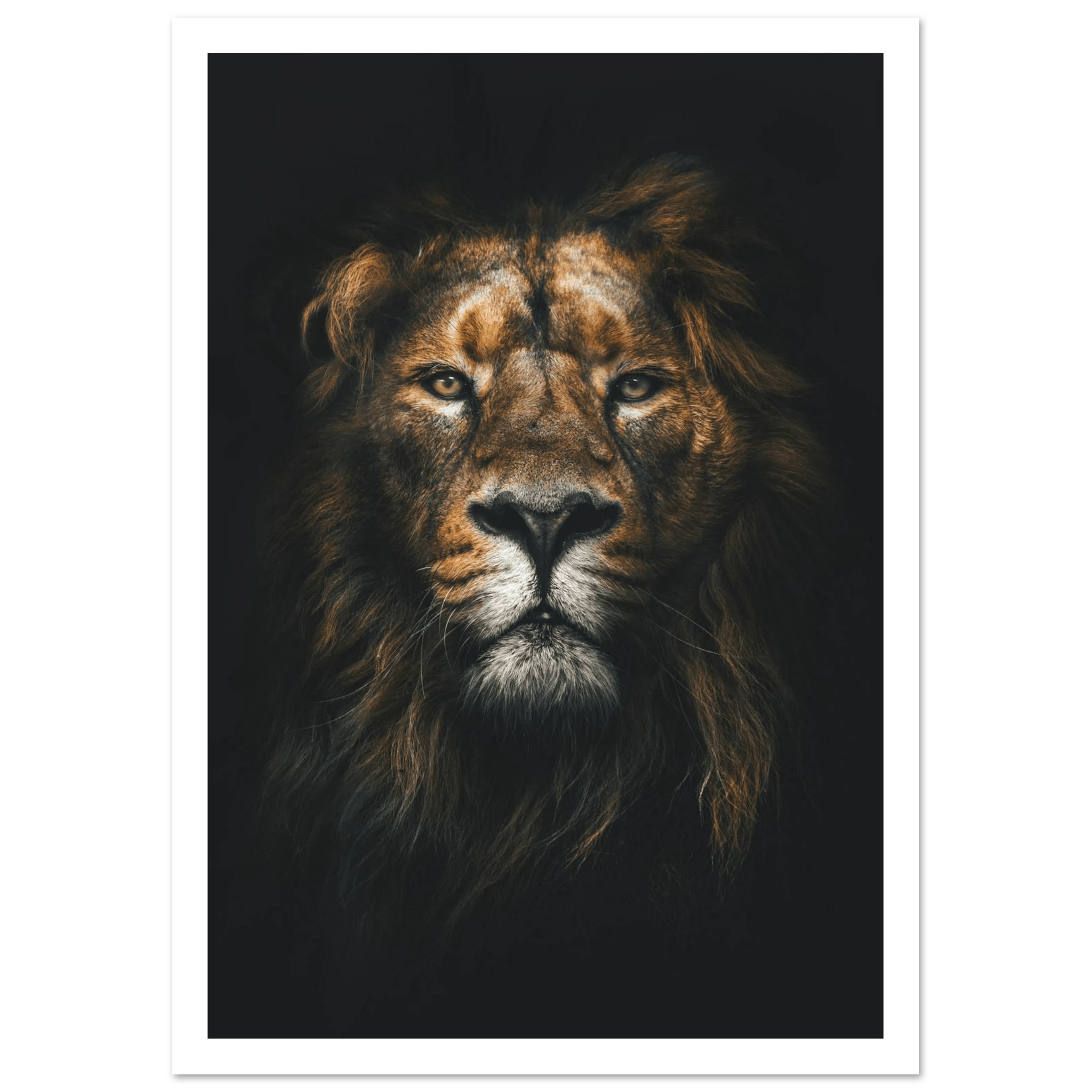 Lion King - Poster - Arthena