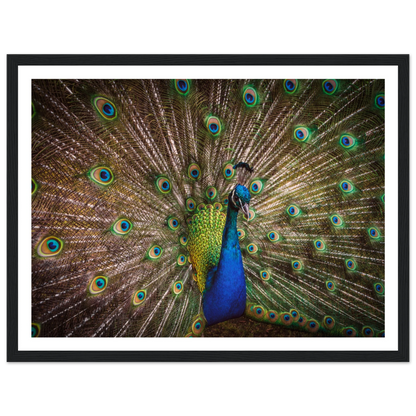 Crown of feathers - Poster - Arthena