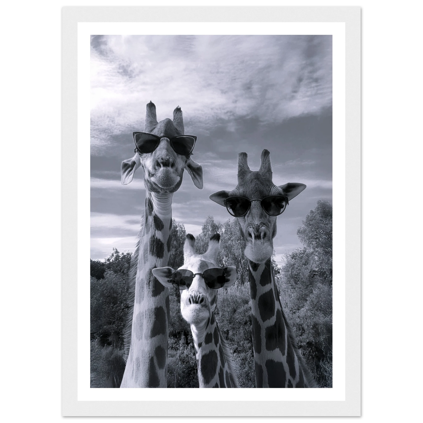 A Sunny Day to be a Giraffe - Poster - Arthena