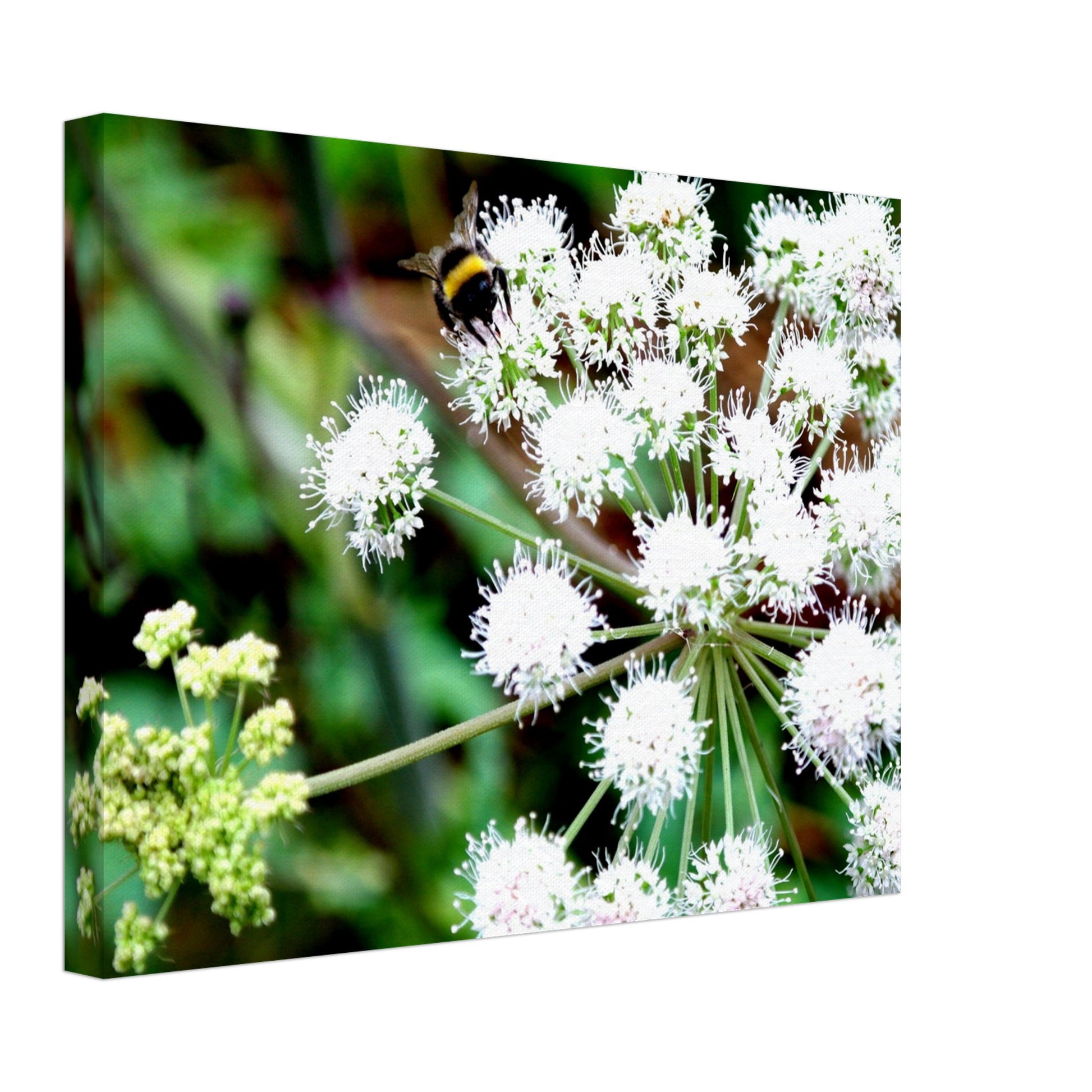 Expression of the bumblebee - Canvas - Arthena