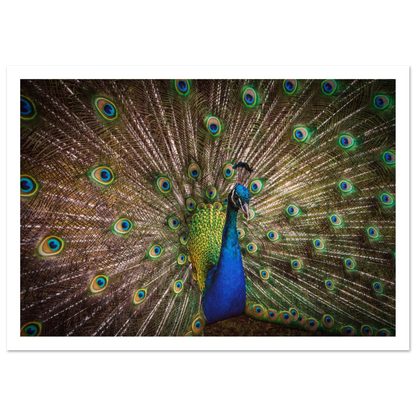 Crown of feathers - Poster - Arthena