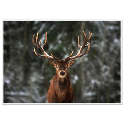 Stag in snow - Poster - Arthena