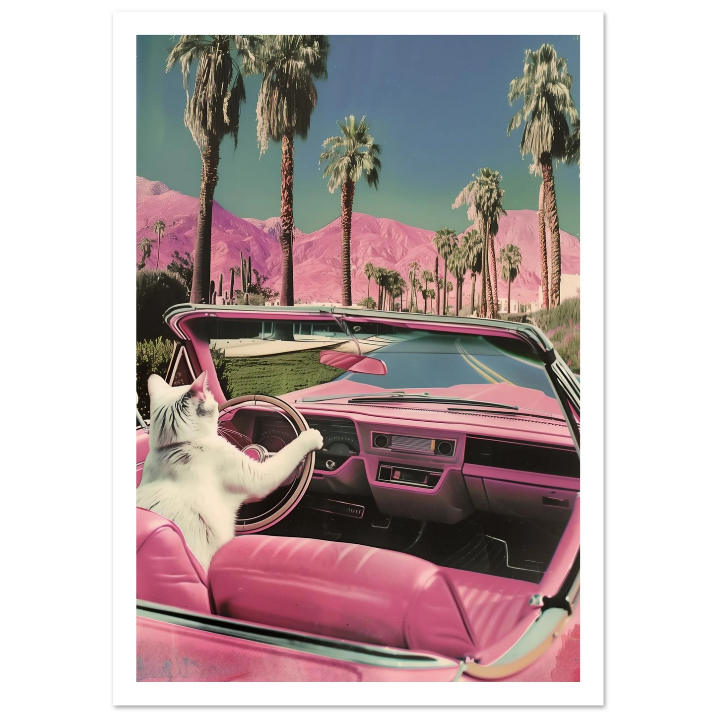 Feline Dreams - Poster - Arthena