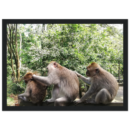 Monkey Scratchers - Poster - Arthena