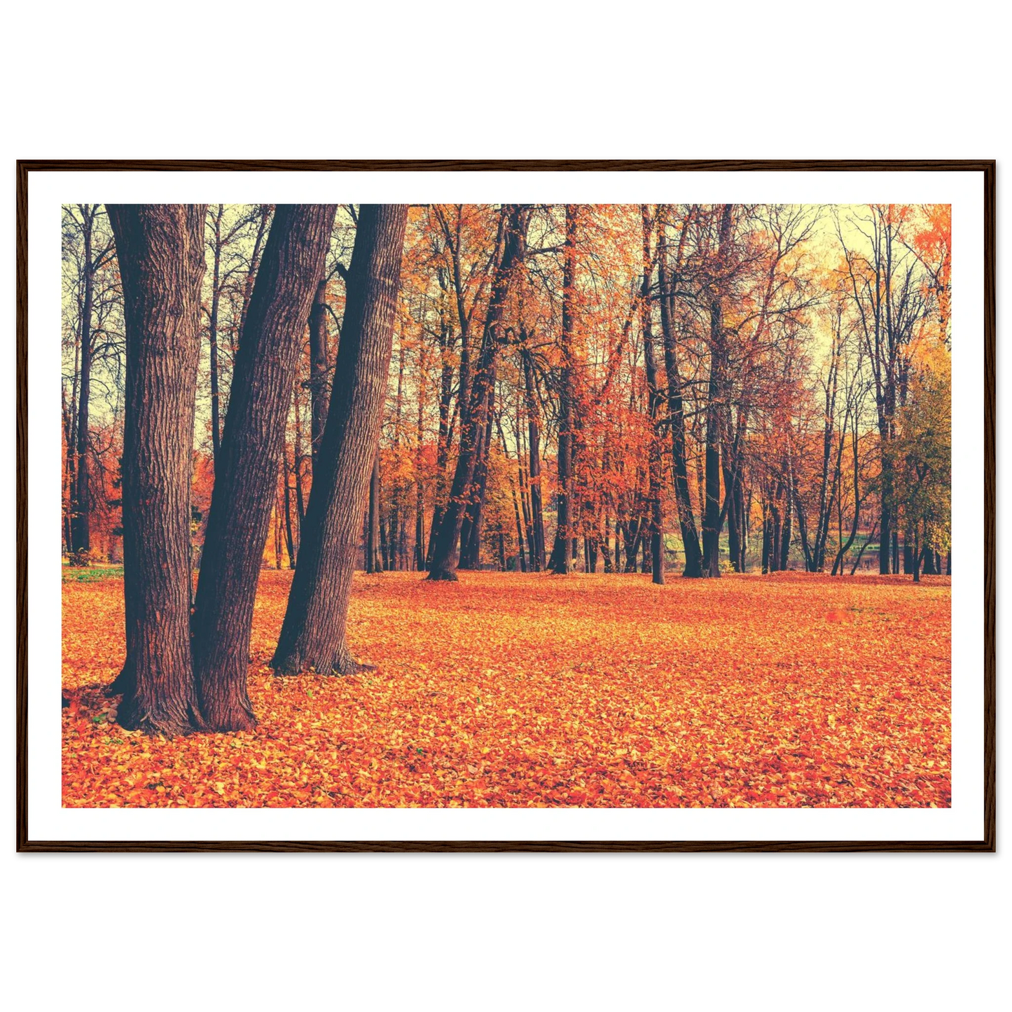 Autumn Carpet - Poster - Arthena