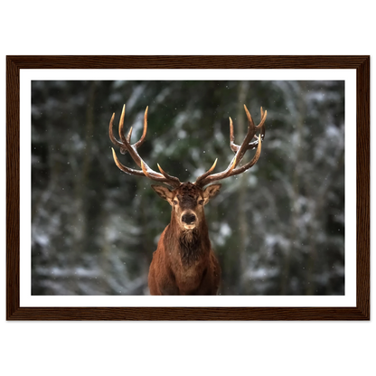 Stag in snow - Poster - Arthena